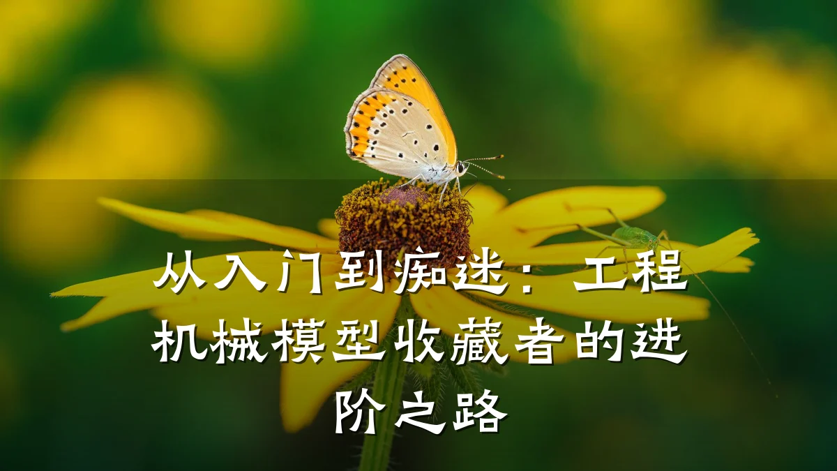 从入门到痴迷:工程机械模型收藏者的进阶之路