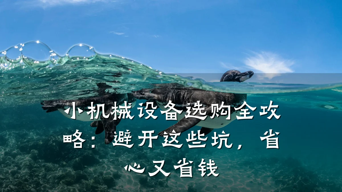 小机械设备选购全攻略：避开这些坑，省心又省钱