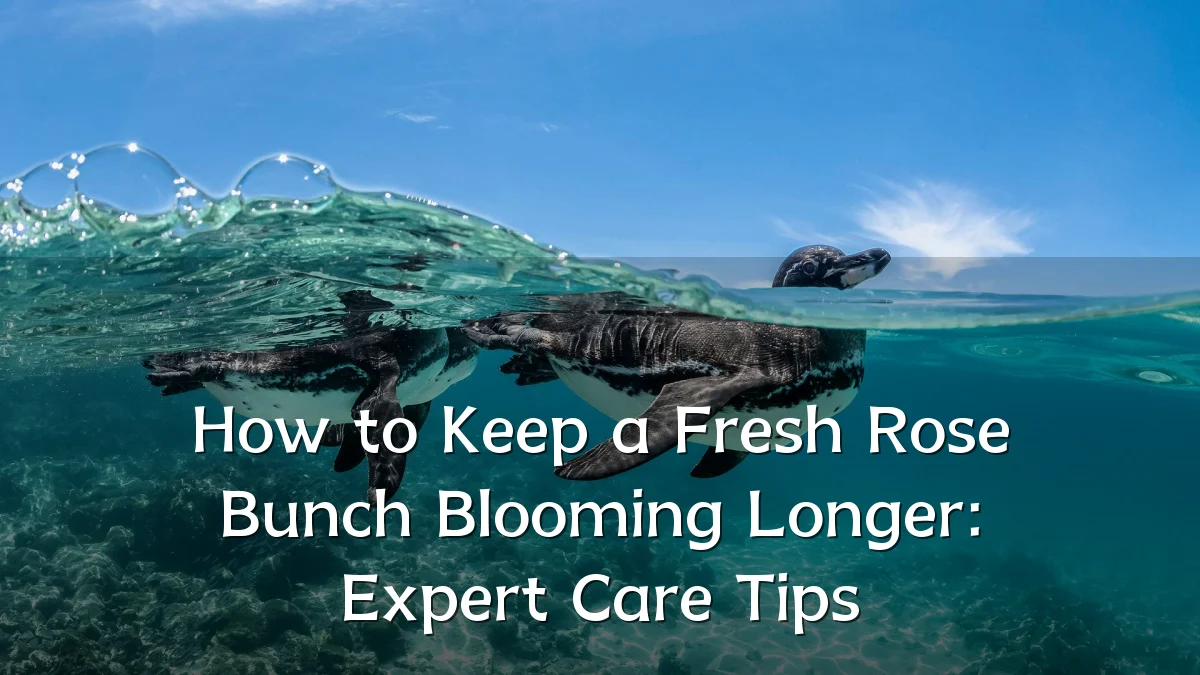 How to Keep a Fresh Rose Bunch Blooming Longer: Expert Care Tips