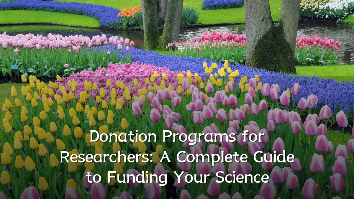 Donation Programs for Researchers: A Complete Guide to Funding Your Science
