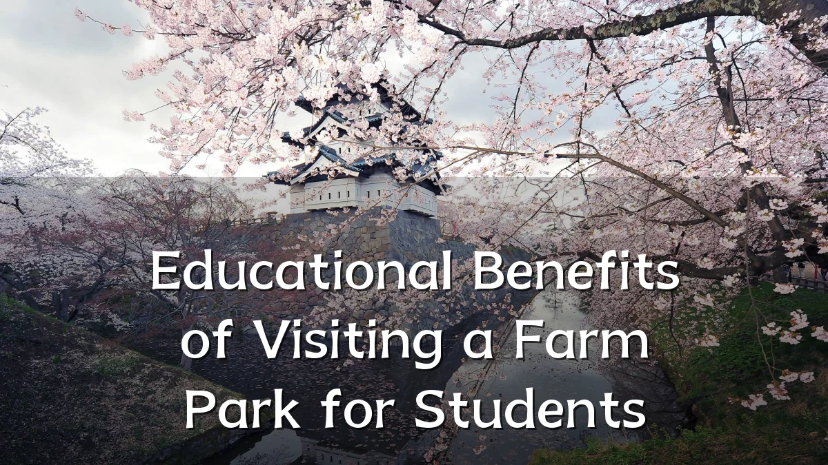 Educational Benefits of Visiting a Farm Park for Students
