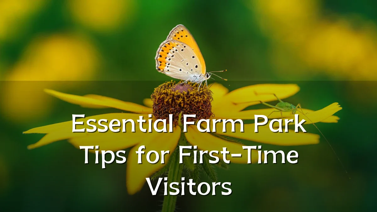 Essential Farm Park Tips for First-Time Visitors