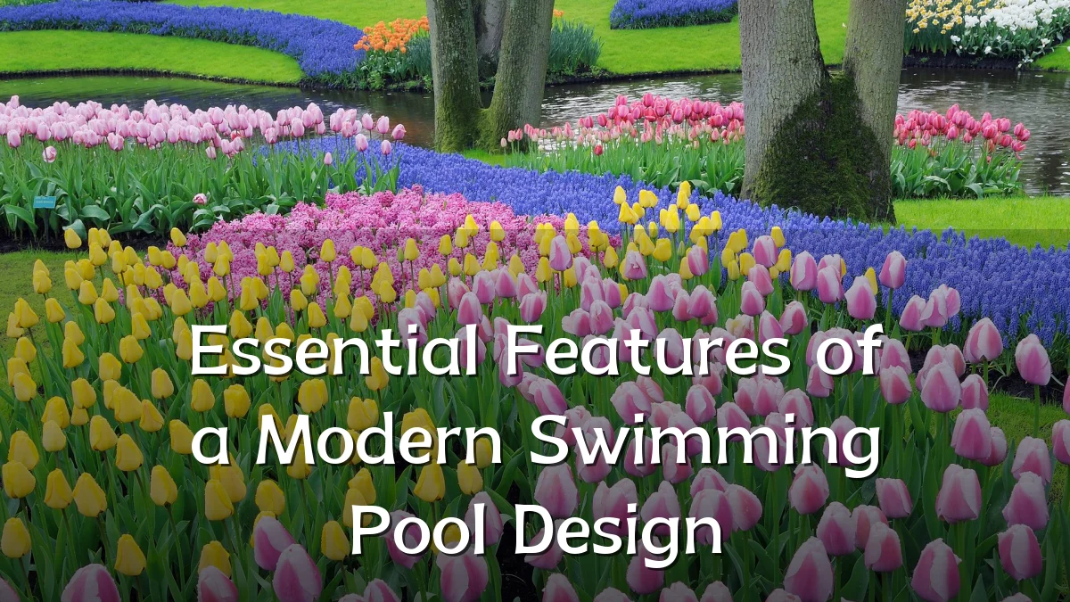 Essential Features of a Modern Swimming Pool Design