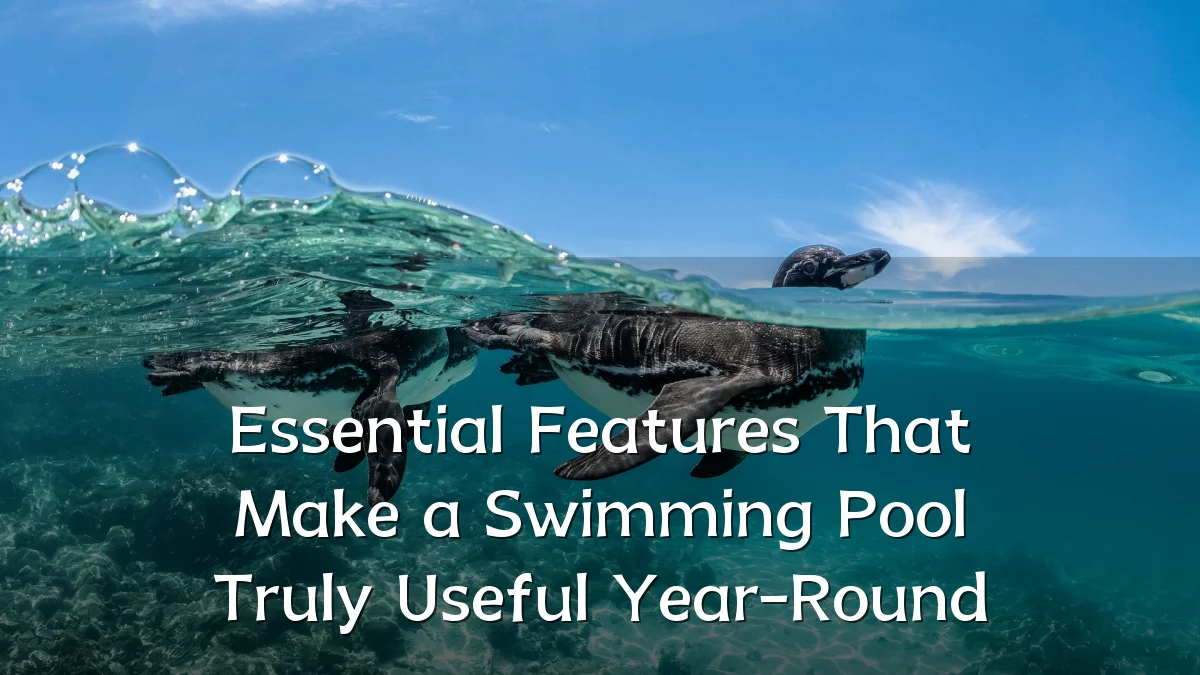 Essential Features That Make a Swimming Pool Truly Useful Year-Round