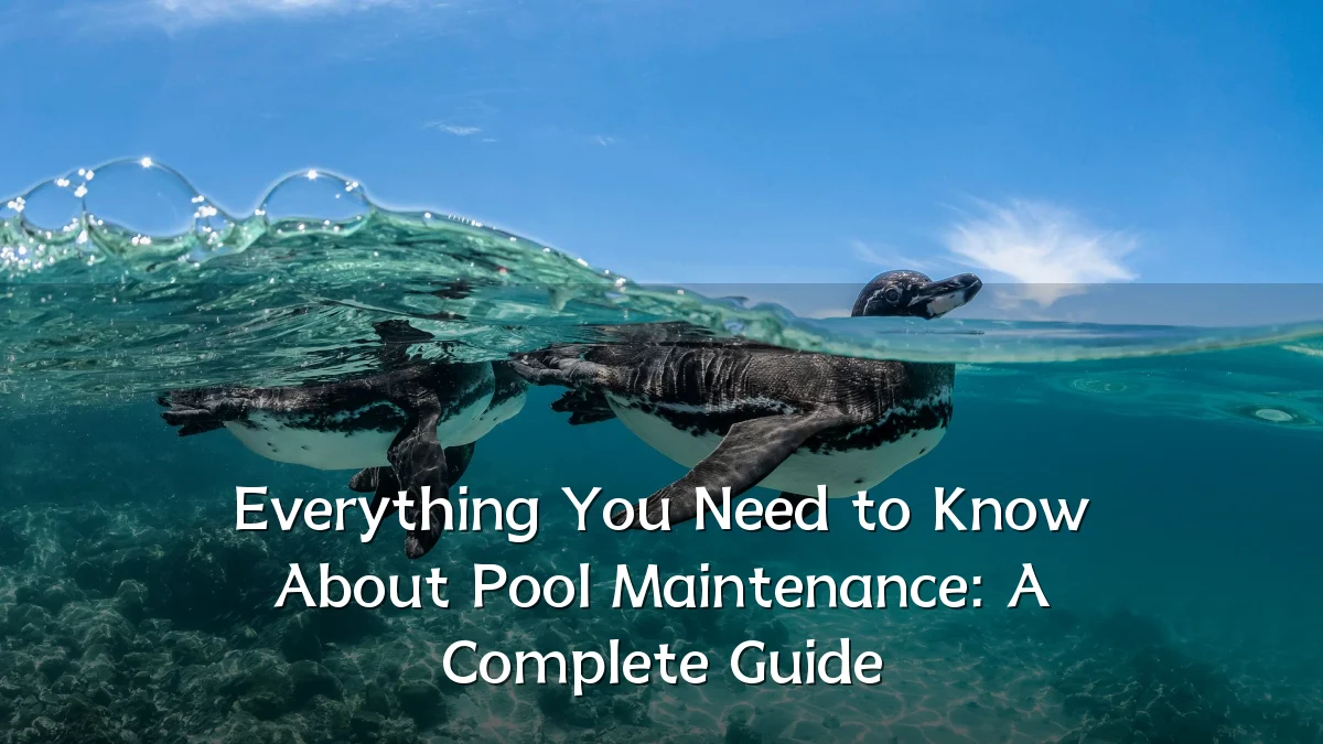 Everything You Need to Know About Pool Maintenance: A Complete Guide