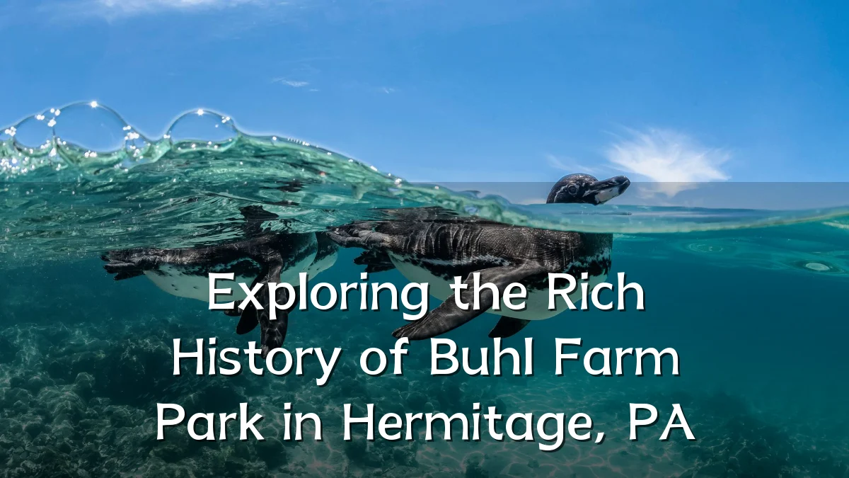 Exploring the Rich History of Buhl Farm Park in Hermitage, PA