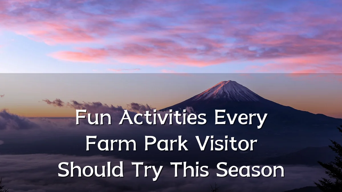 Fun Activities Every Farm Park Visitor Should Try This Season