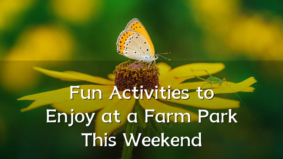 Fun Activities to Enjoy at a Farm Park This Weekend