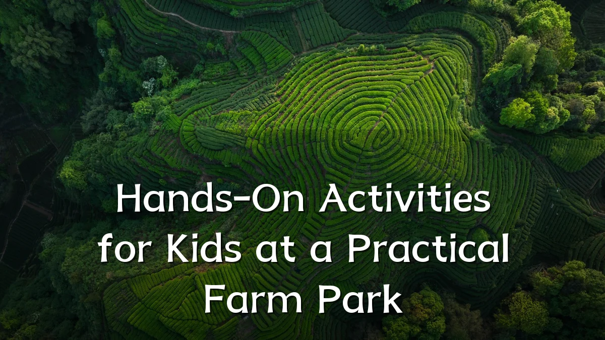 Hands-On Activities for Kids at a Practical Farm Park