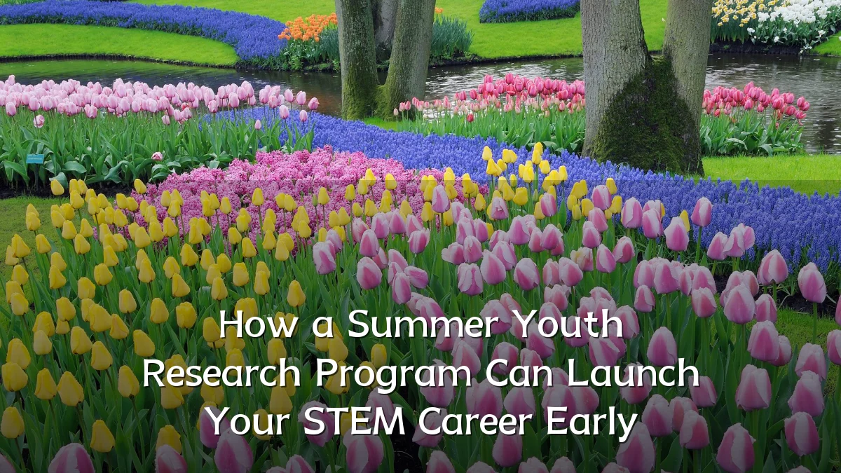 How a Summer Youth Research Program Can Launch Your STEM Career Early