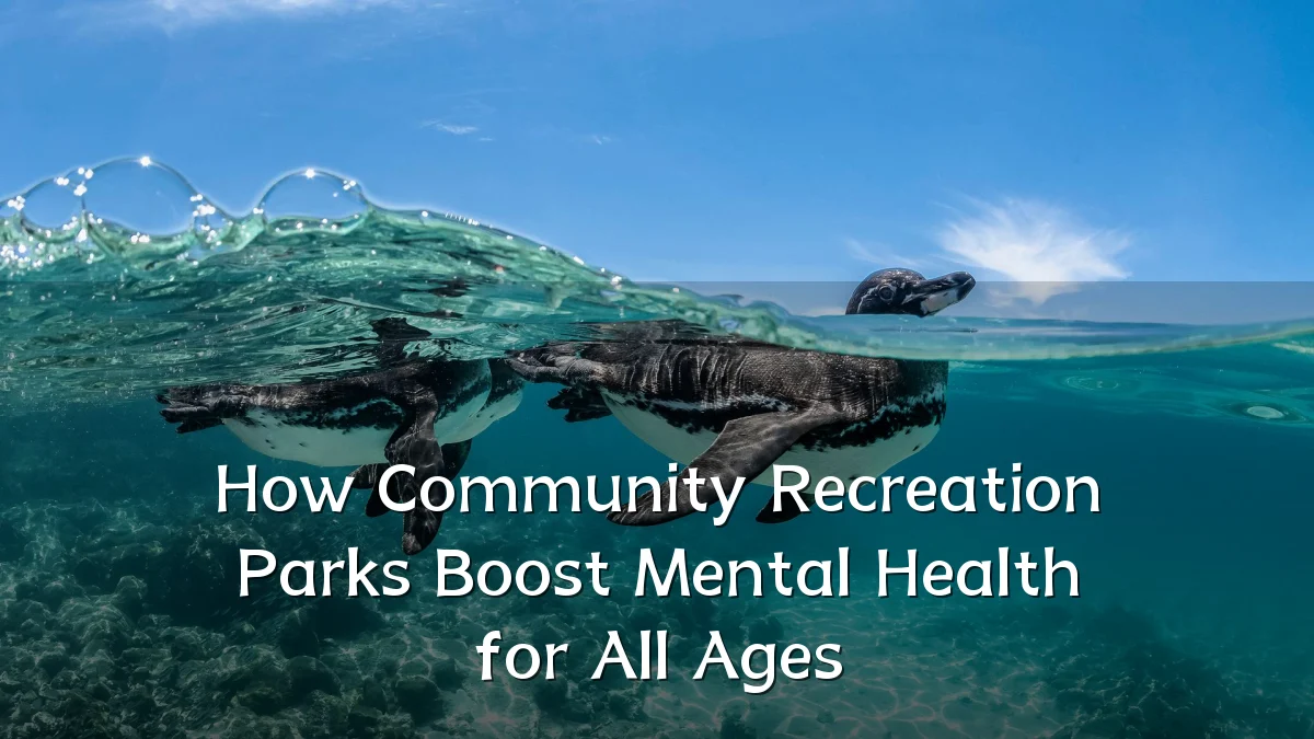 How Community Recreation Parks Boost Mental Health for All Ages