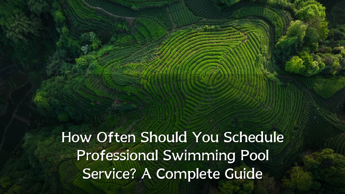 How Often Should You Schedule Professional Swimming Pool Service? A Complete Guide