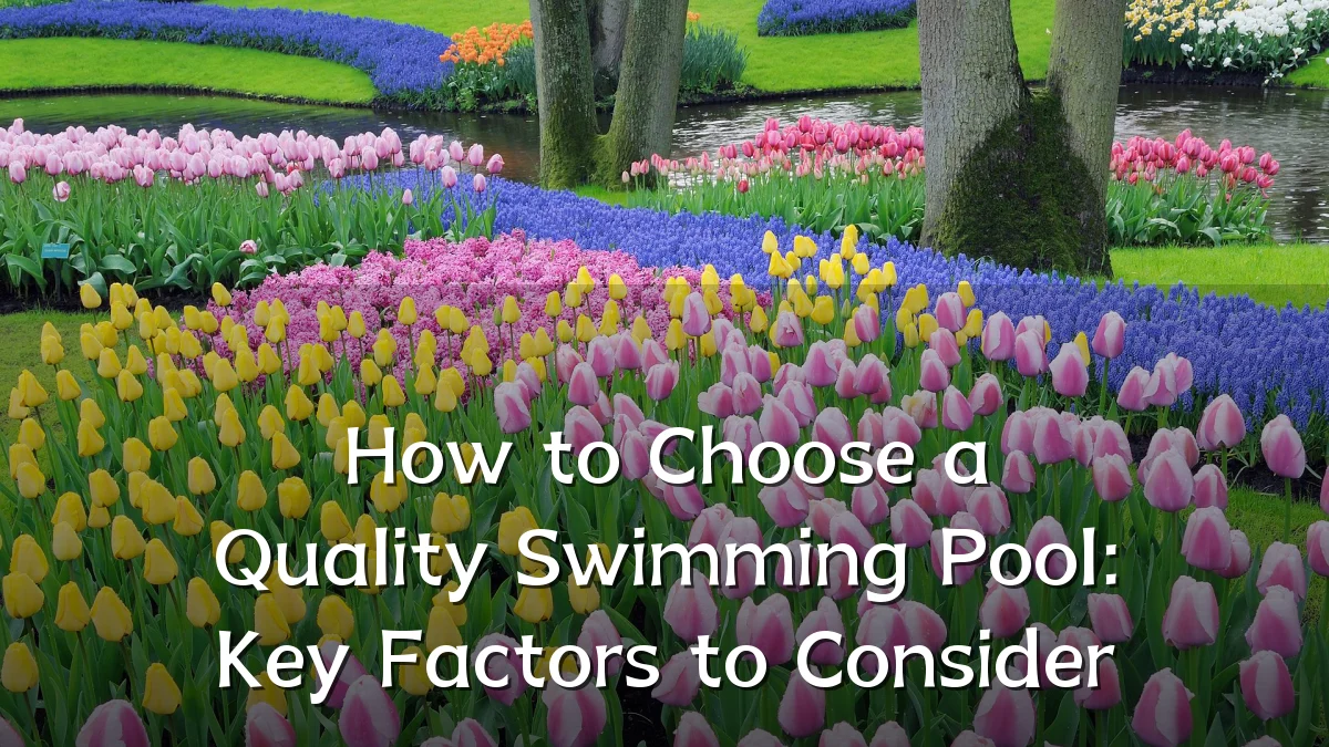 How to Choose a Quality Swimming Pool: Key Factors to Consider