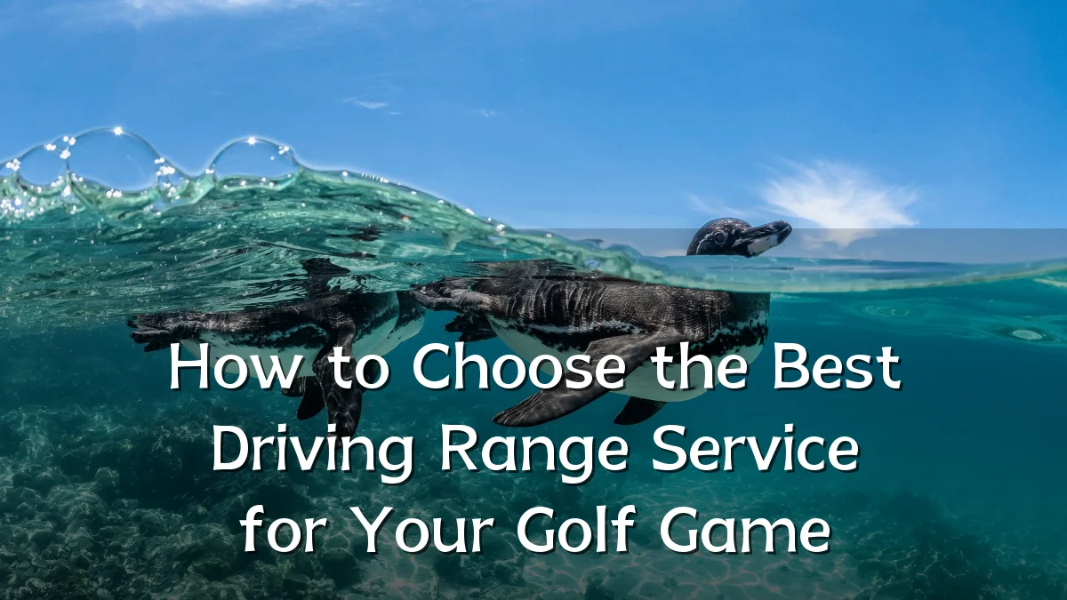 How to Choose the Best Driving Range Service for Your Golf Game