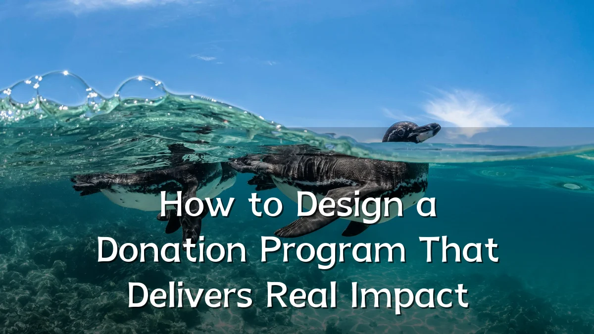 How to Design a Donation Program That Delivers Real Impact