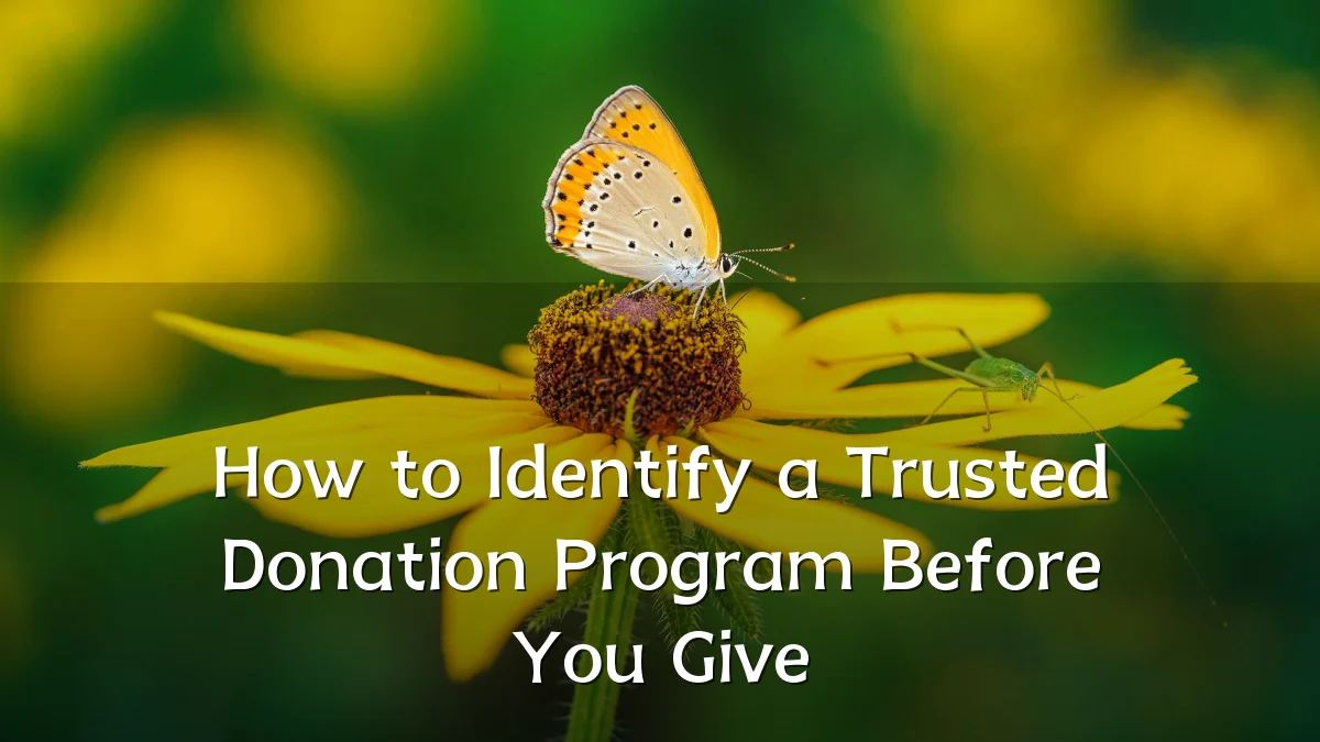 How to Identify a Trusted Donation Program Before You Give