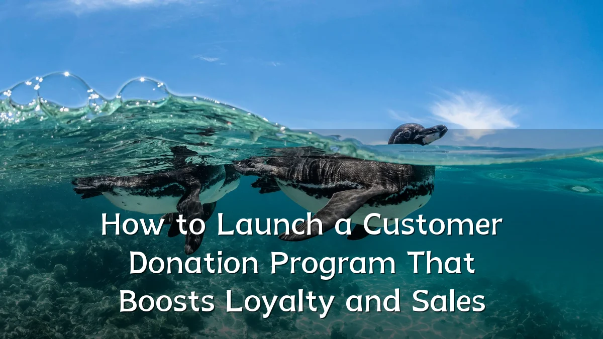 How to Launch a Customer Donation Program That Boosts Loyalty and Sales