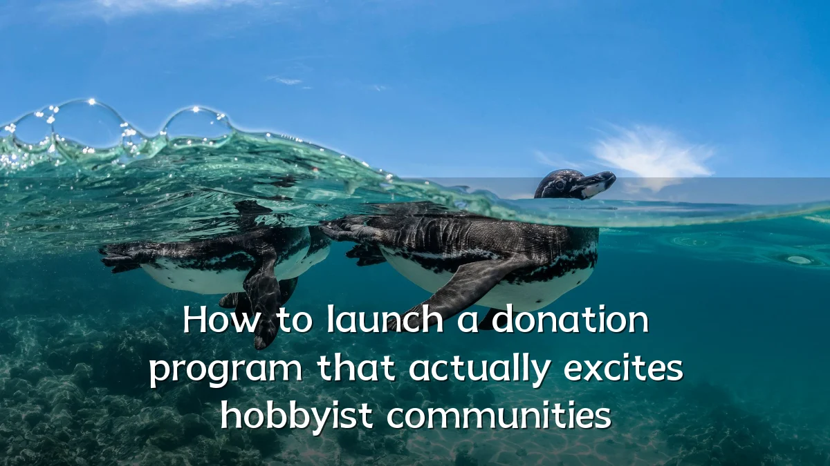 How to launch a donation program that actually excites hobbyist communities