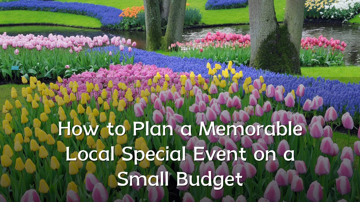 How to Plan a Memorable Local Special Event on a Small Budget