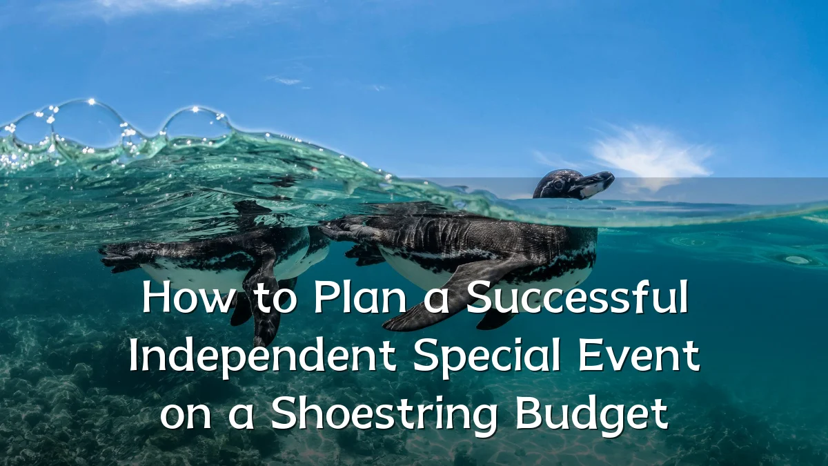 How to Plan a Successful Independent Special Event on a Shoestring Budget