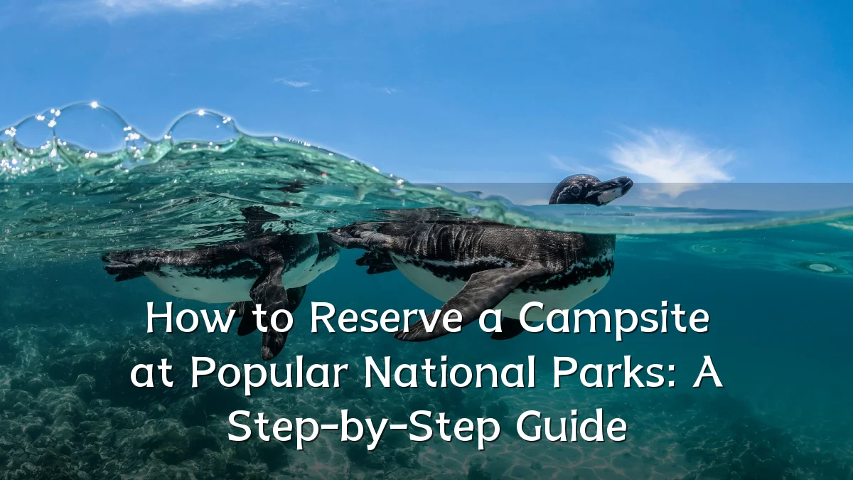 How to Reserve a Campsite at Popular National Parks: A Step-by-Step Guide