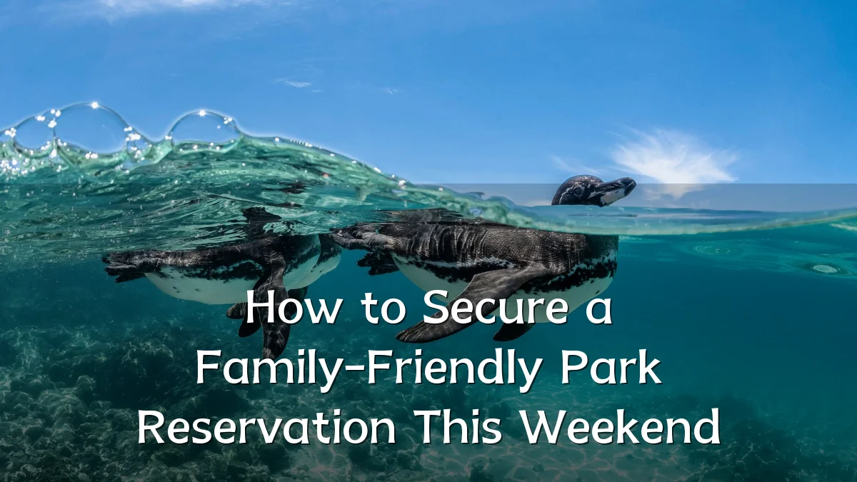 How to Secure a Family-Friendly Park Reservation This Weekend