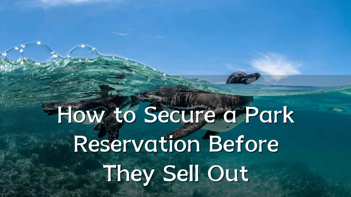 How to Secure a Park Reservation Before They Sell Out