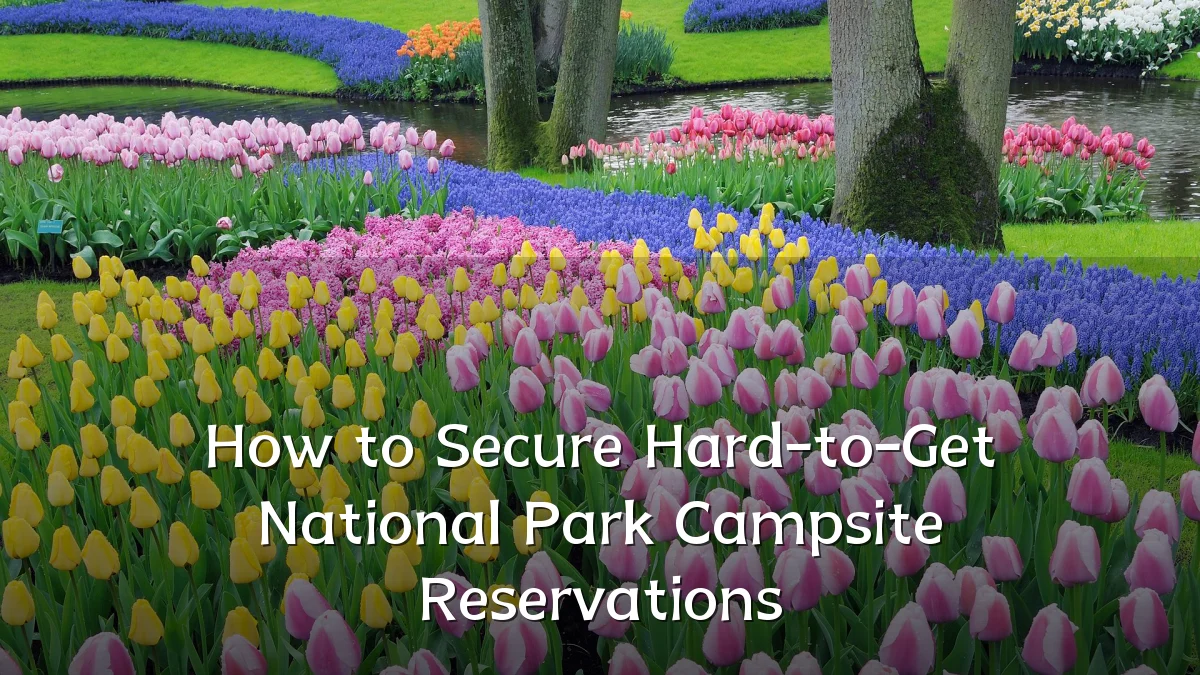 How to Secure Hard-to-Get National Park Campsite Reservations