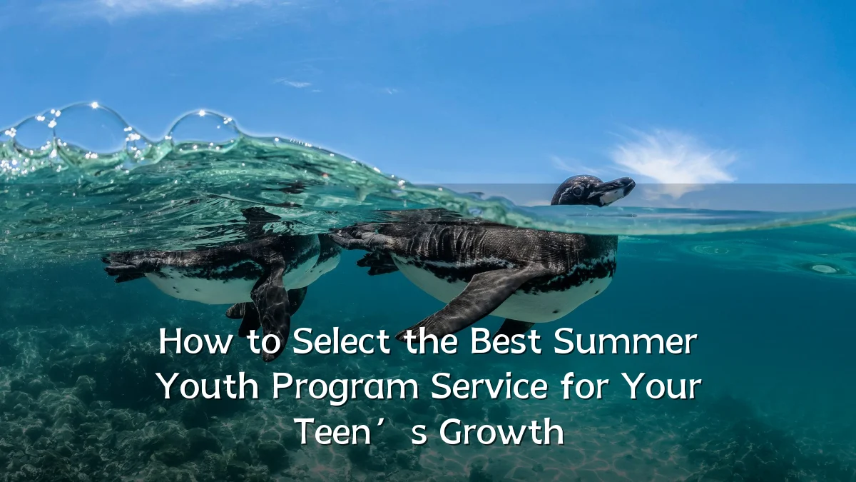 How to Select the Best Summer Youth Program Service for Your Teen’s Growth