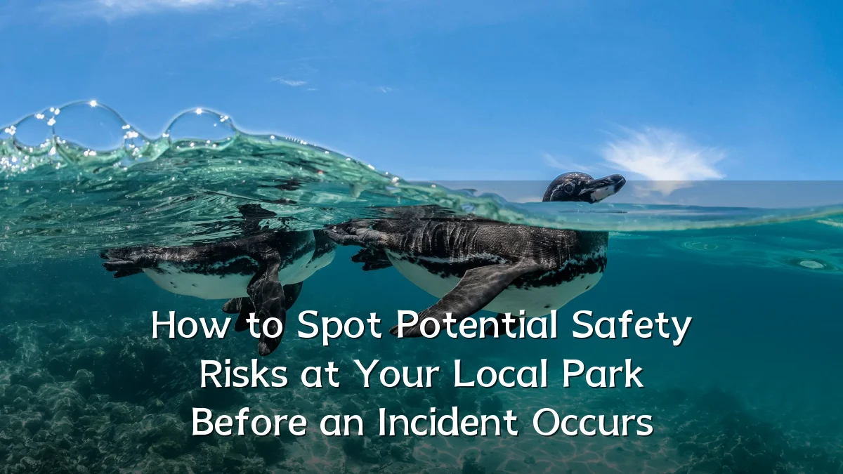 How to Spot Potential Safety Risks at Your Local Park Before an Incident Occurs