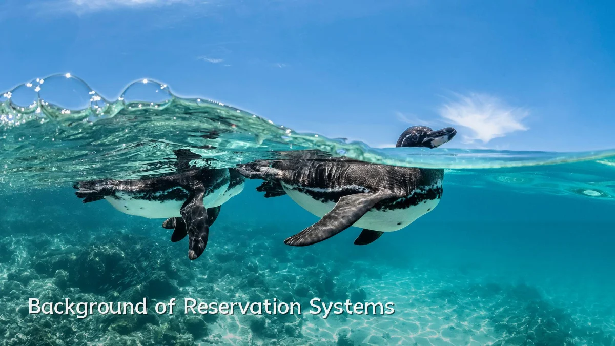 Background of Reservation Systems