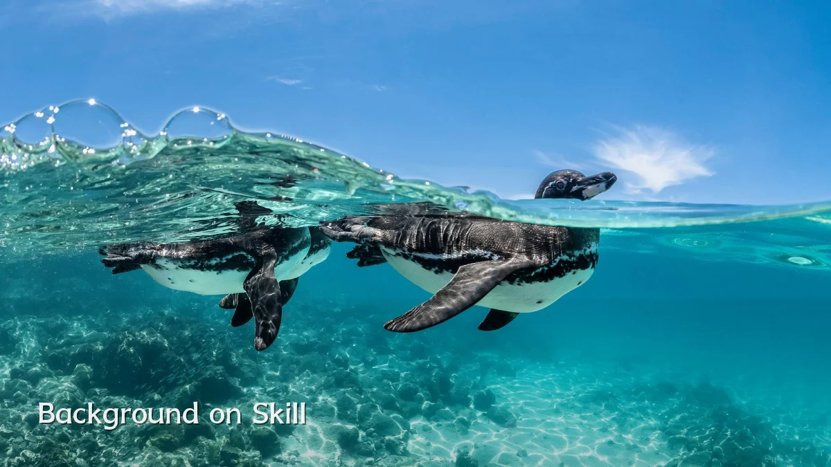Background on Skill