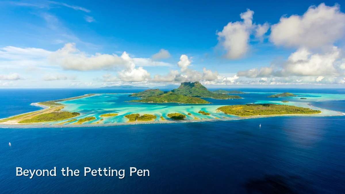 Beyond the Petting Pen