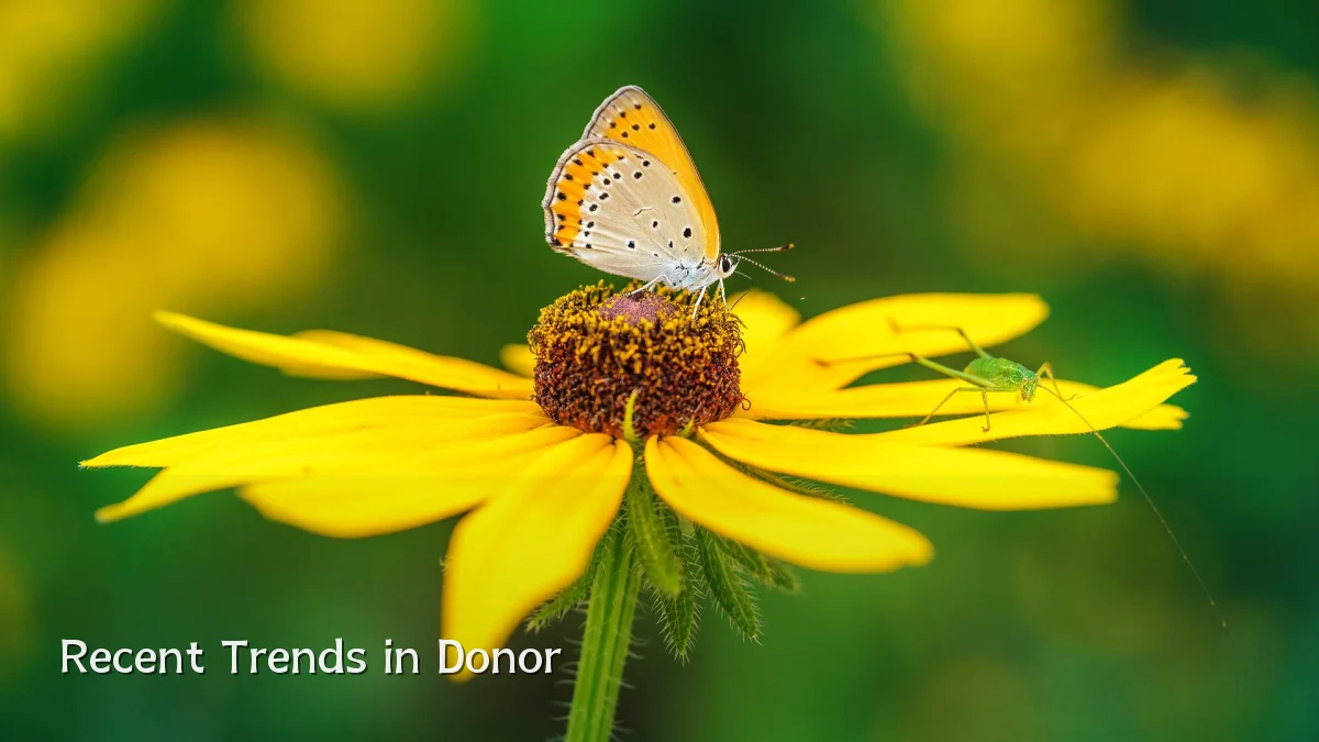 Recent Trends in Donor