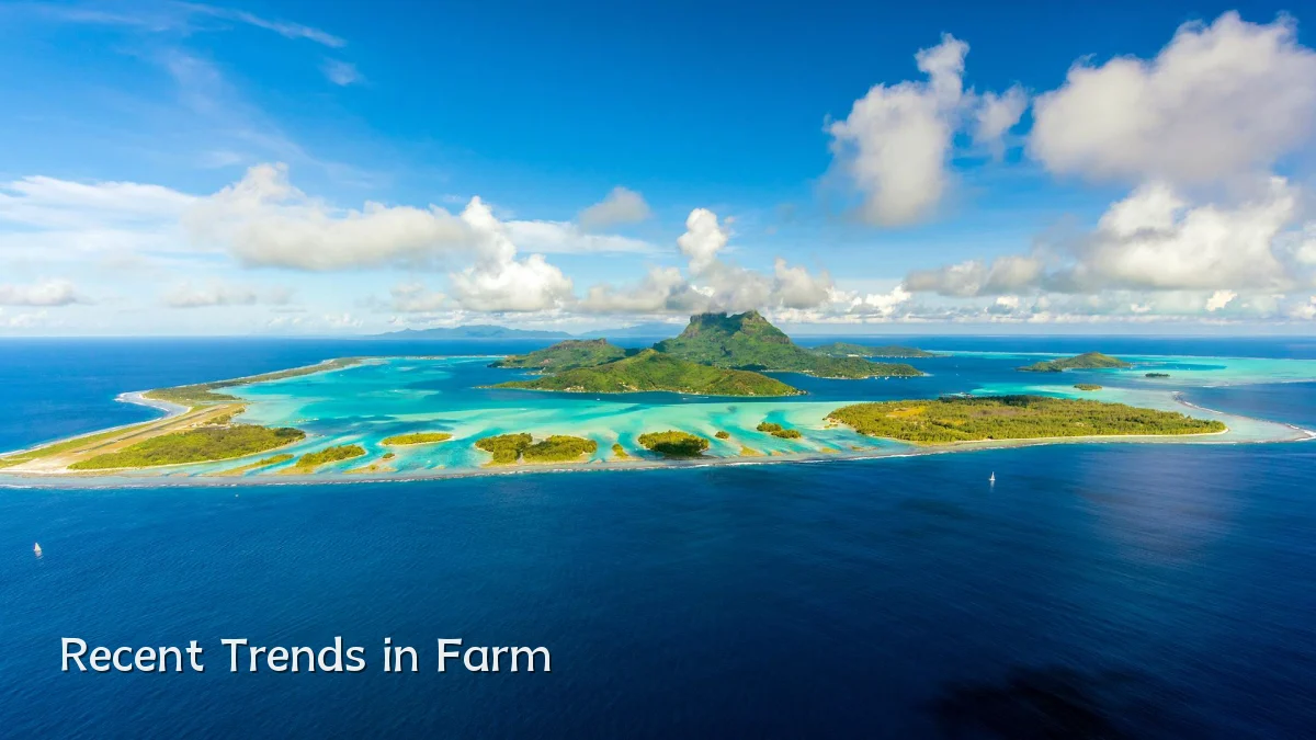 Recent Trends in Farm