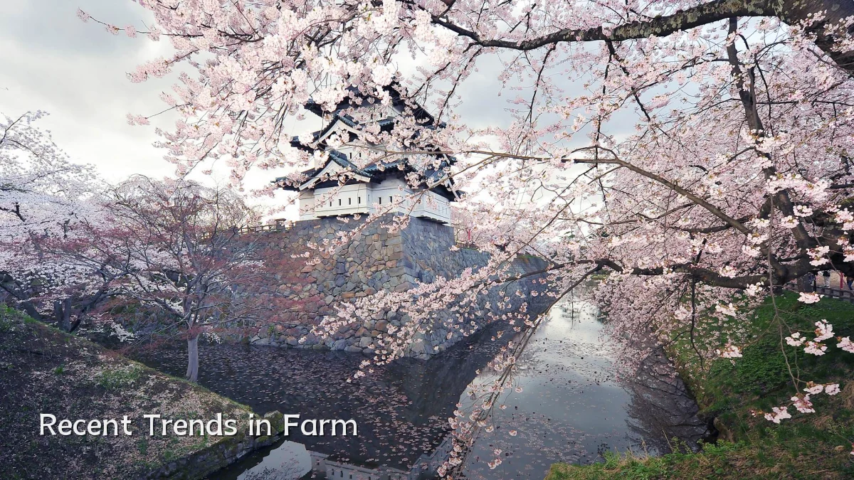 Recent Trends in Farm