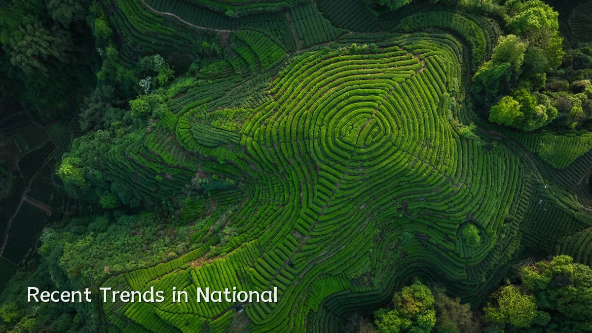 Recent Trends in National