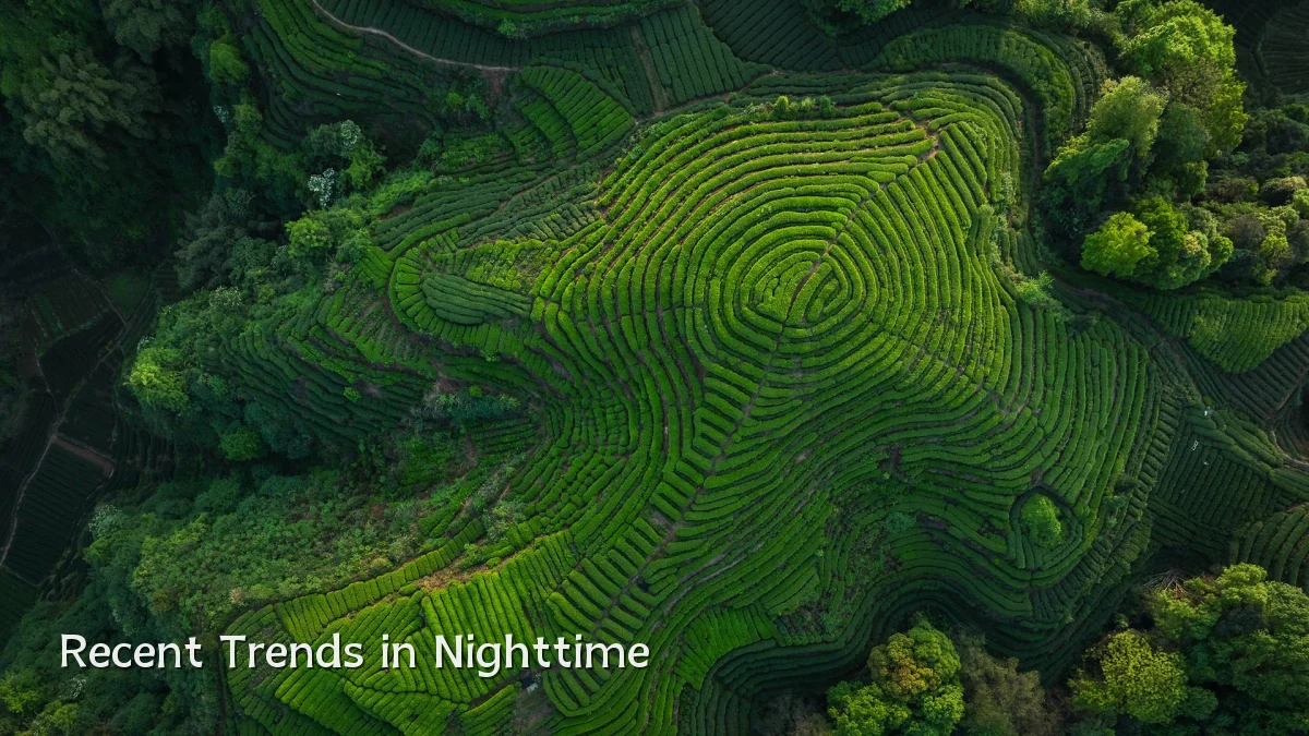 Recent Trends in Nighttime
