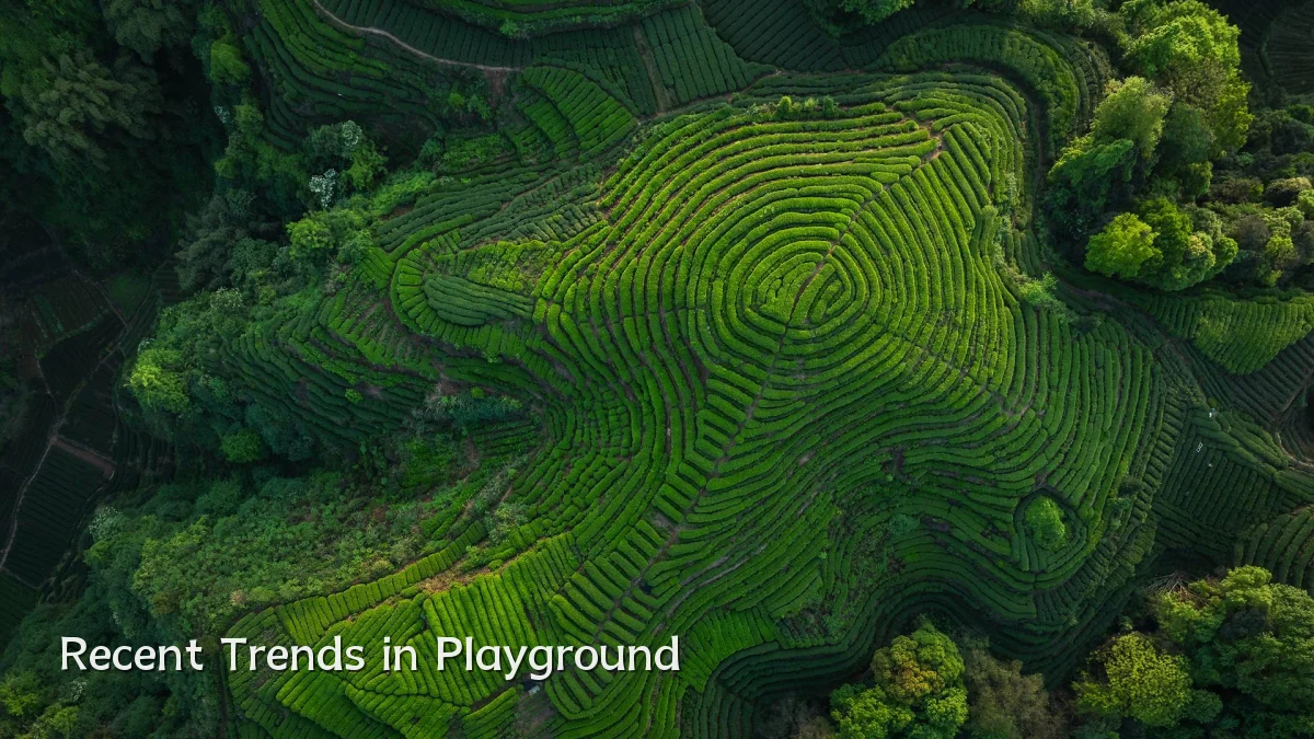Recent Trends in Playground