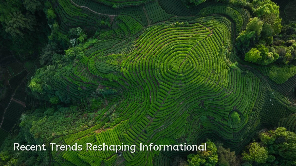 Recent Trends Reshaping Informational