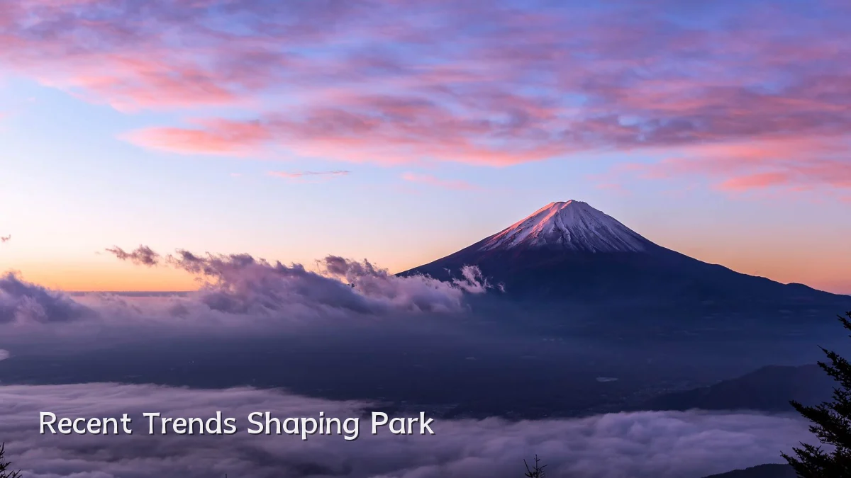 Recent Trends Shaping Park