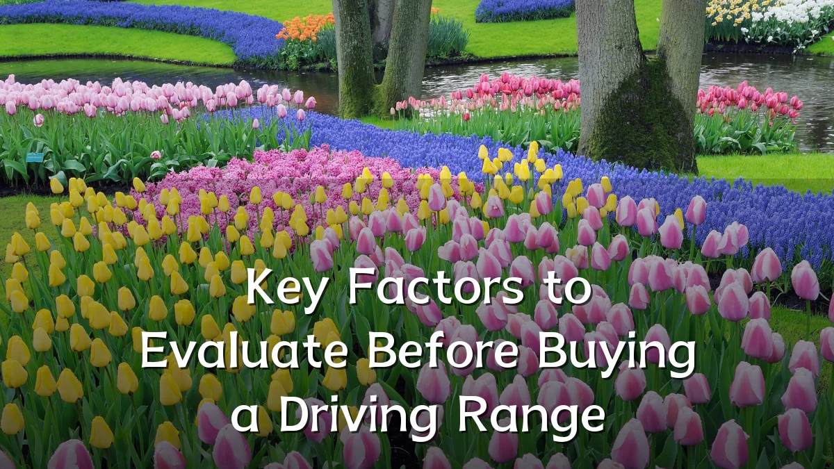 Key Factors to Evaluate Before Buying a Driving Range
