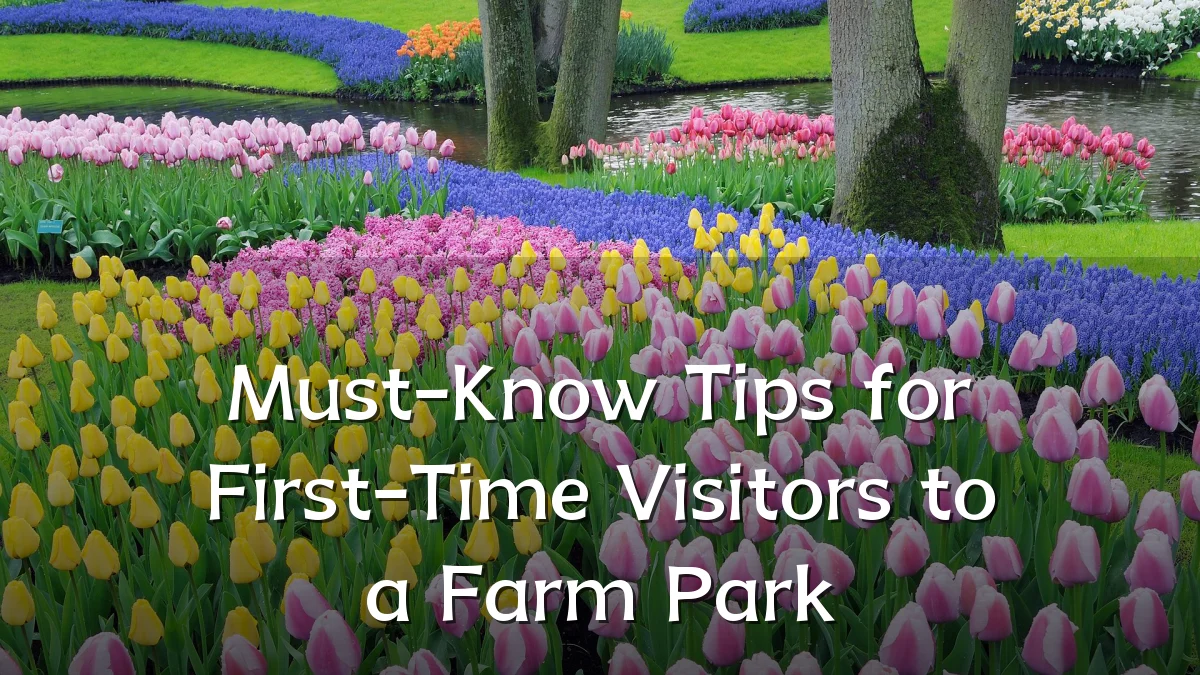 Must-Know Tips for First-Time Visitors to a Farm Park