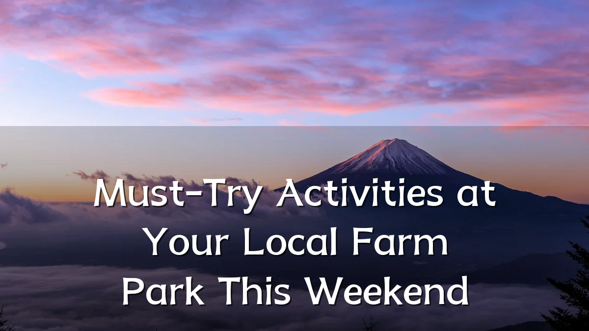 Must-Try Activities at Your Local Farm Park This Weekend