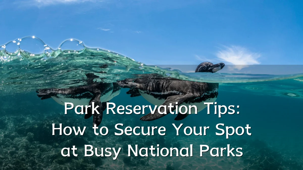 Park Reservation Tips: How to Secure Your Spot at Busy National Parks