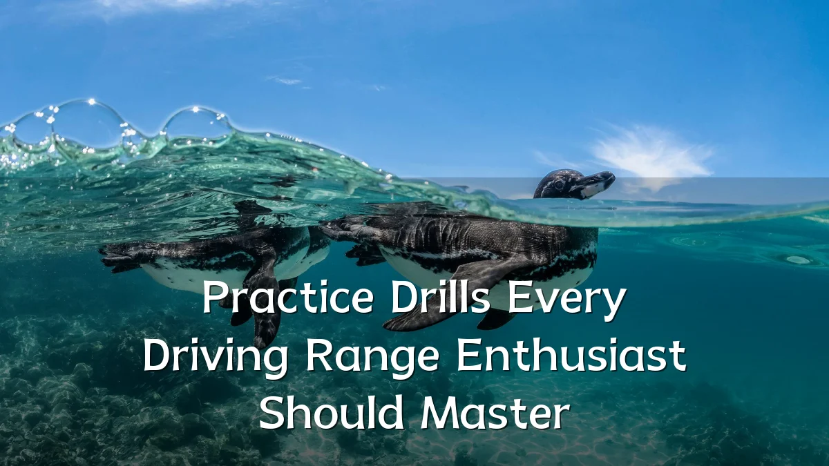 Practice Drills Every Driving Range Enthusiast Should Master
