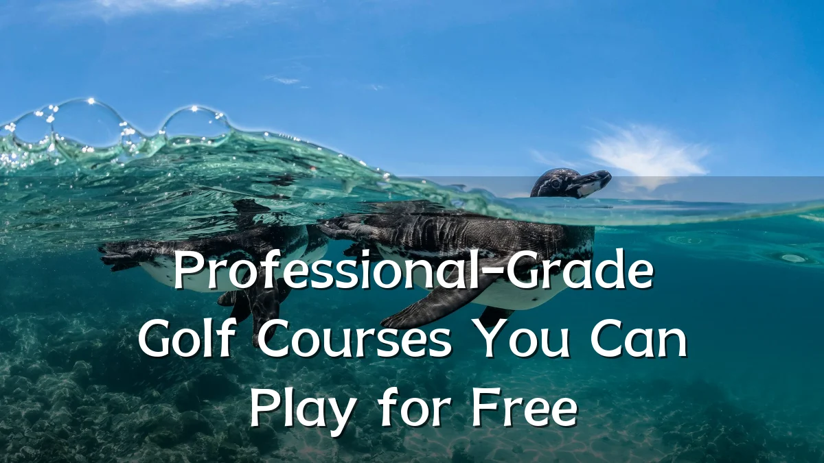 Professional-Grade Golf Courses You Can Play for Free