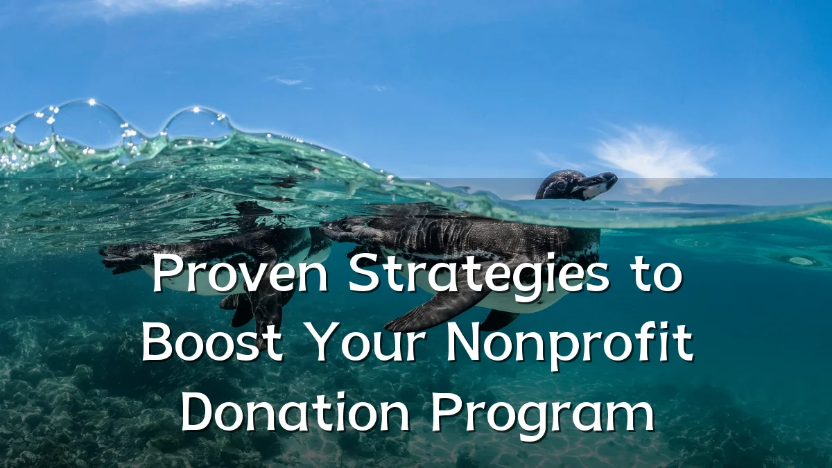 Proven Strategies to Boost Your Nonprofit Donation Program