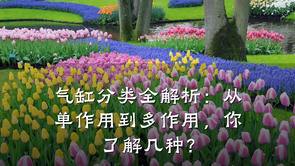 气缸分类全解析:从单作用到多作用,你了解几种?