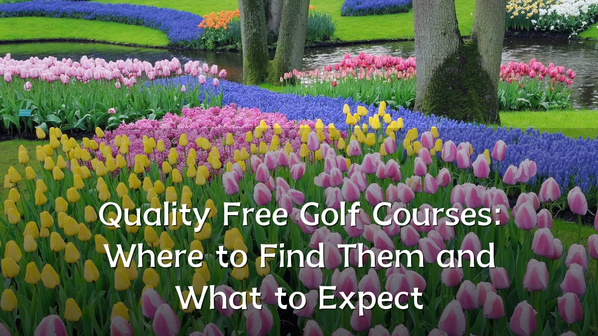 Quality Free Golf Courses: Where to Find Them and What to Expect